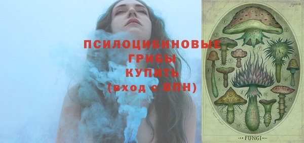 герыч Арсеньев