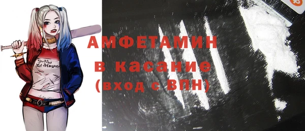 сатива Алзамай