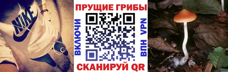 Псилоцибиновые грибы прущие грибы  нарко площадка клад  Певек 